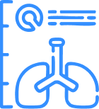 programa de entrenamiento